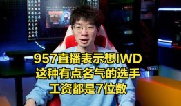 龙坤娱乐直播爆料,揭秘娱乐圈幕后故事